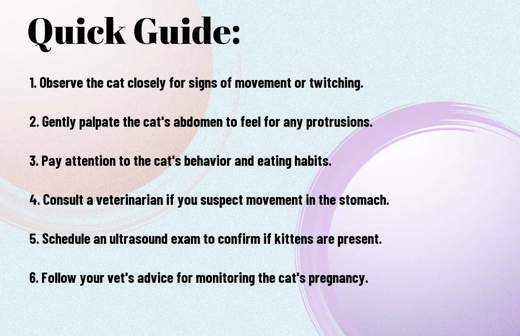 quick guide to can you see kittens moving in cats stomach